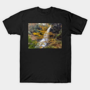 Dry Falls T-Shirt